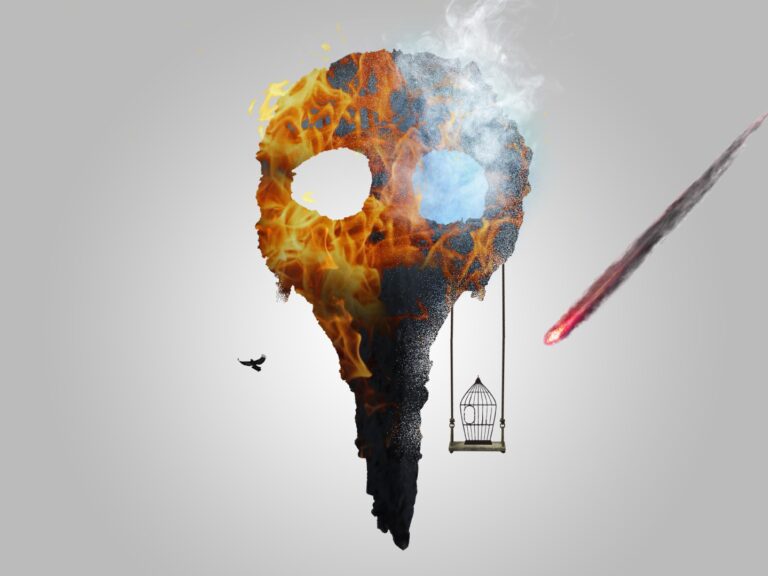 PÁSSARO PRETO | EQUILIBRIO