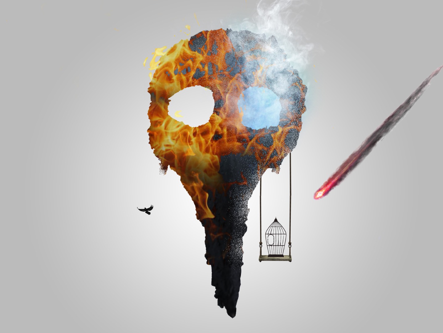 PÁSSARO PRETO | EQUILIBRIO