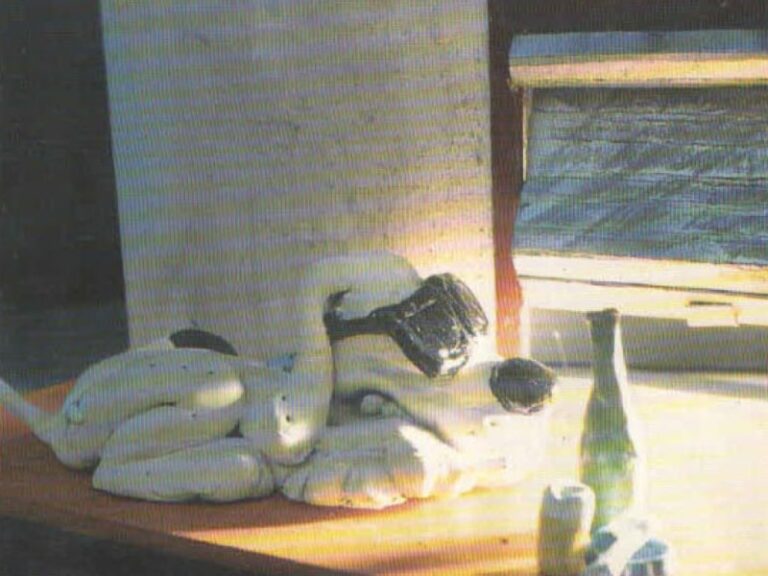 GRV 20 anos a 2020 volts apresenta Cachorro Cego