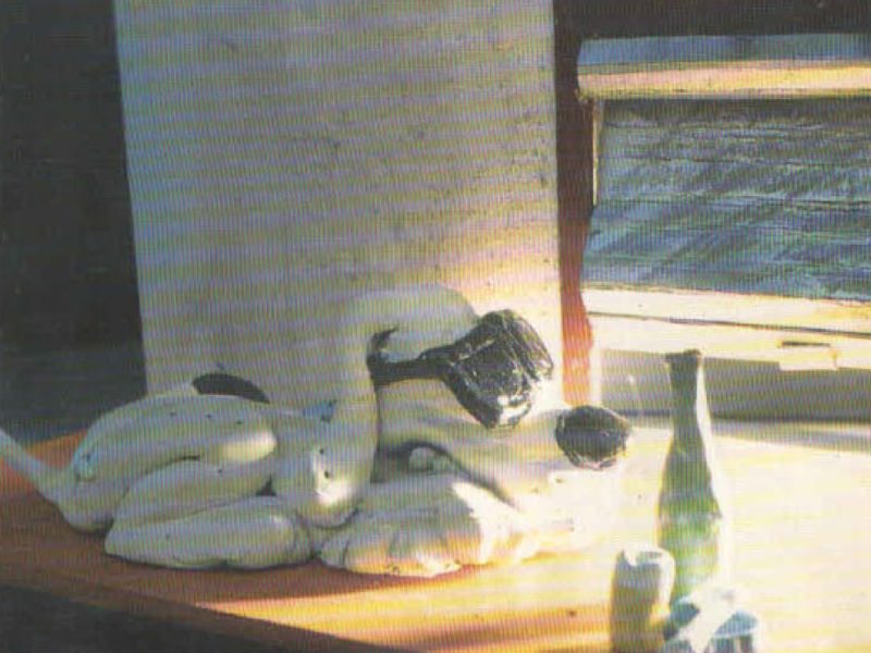 CACHORRO CEGO | VOL II