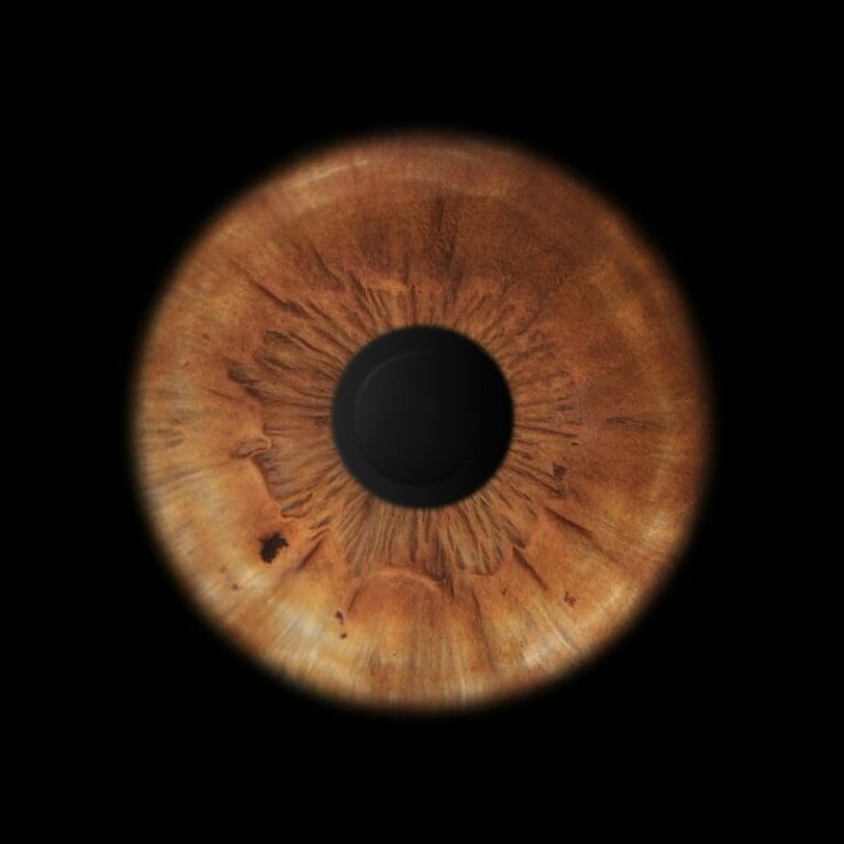 EDUARDO PASTORE | PRIMEIRO OLHAR