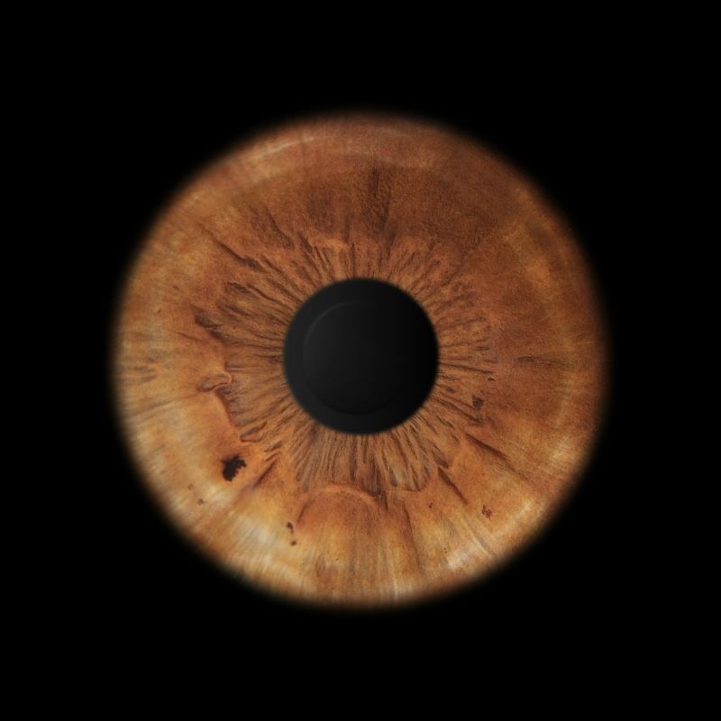 EDUARDO PASTORE | PRIMEIRO OLHAR